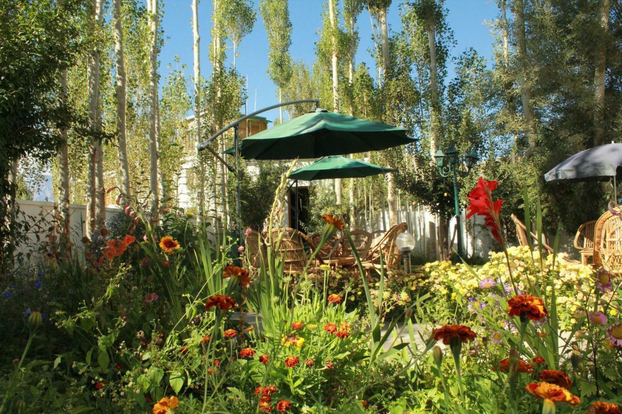 Hotel Ladakh Greens - An Organic Retreat Léh Exteriér fotografie